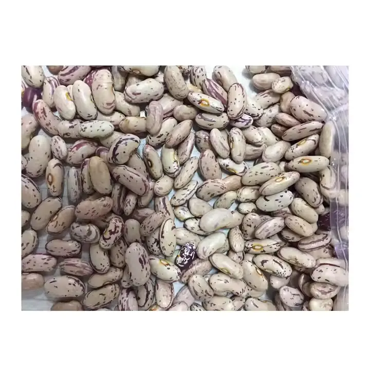 Red kidney beans