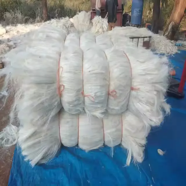 Sisal fiber SSUG grade