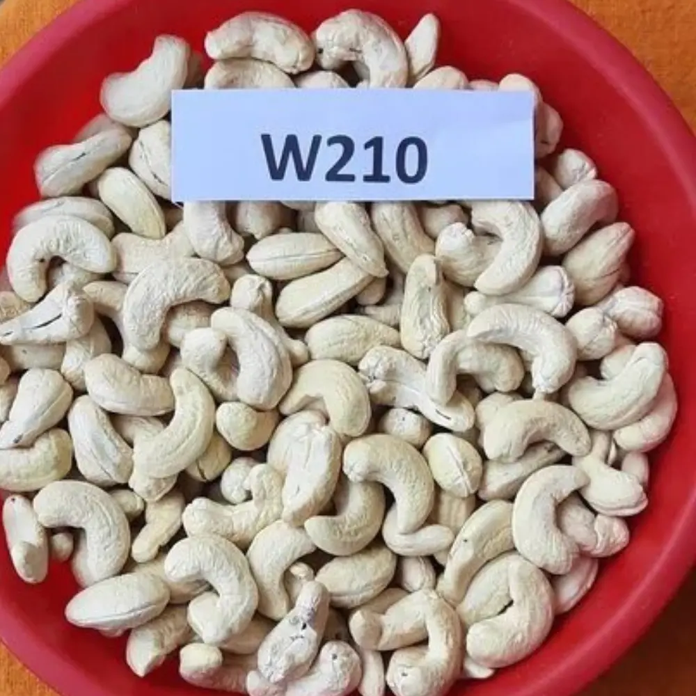 W210 whole white cashew kernels