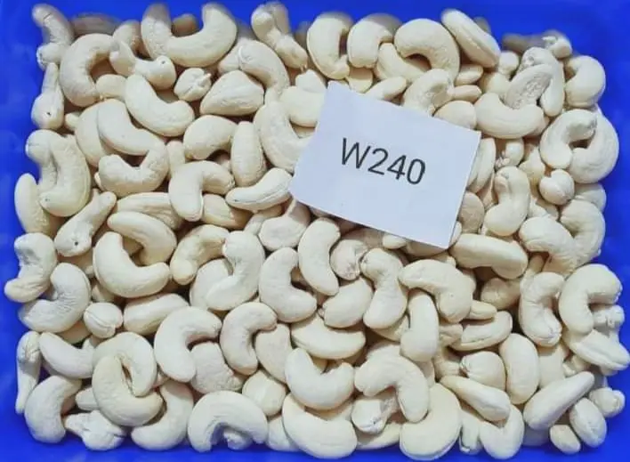 W240 whole white cashew kernels