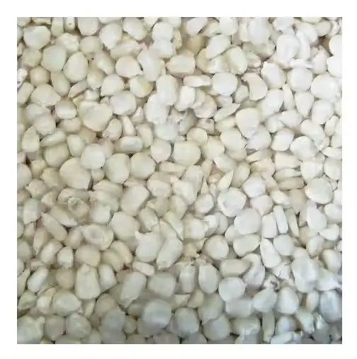 White Corn